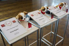 EIN SIEGERTYP: DACIA BIGSTER GEWINNT GROSSEN ÖSTERREICHISCHEN AUTOMOBIL-PREIS DES ARBÖ