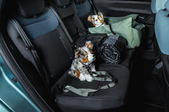 DER NEUE DACIA STRIKER: DAS BESTE AUS DREI WELTEN IM LIFESTYLE-KOMBI