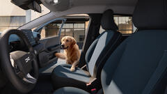 Neuer Dacia Spring